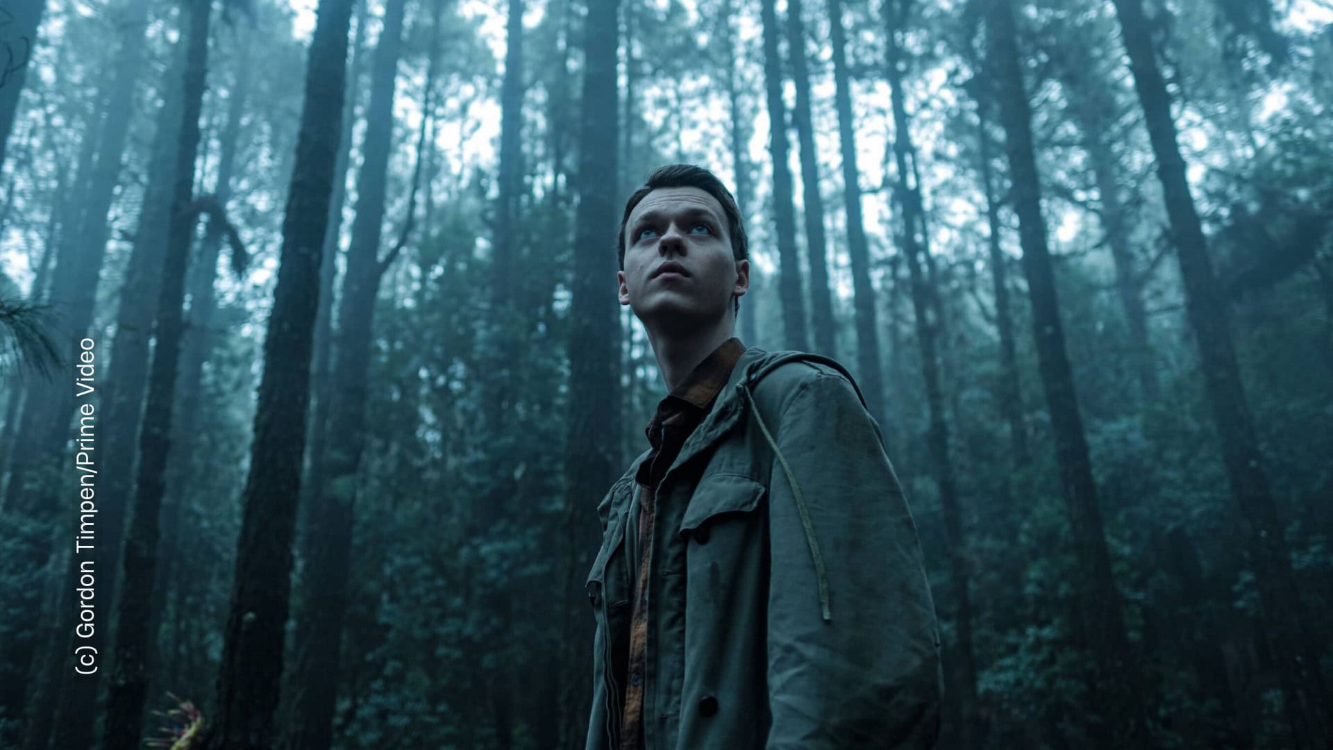 Ein junger Mann steht in einem düsteren Wald und blickt in die Ferne.